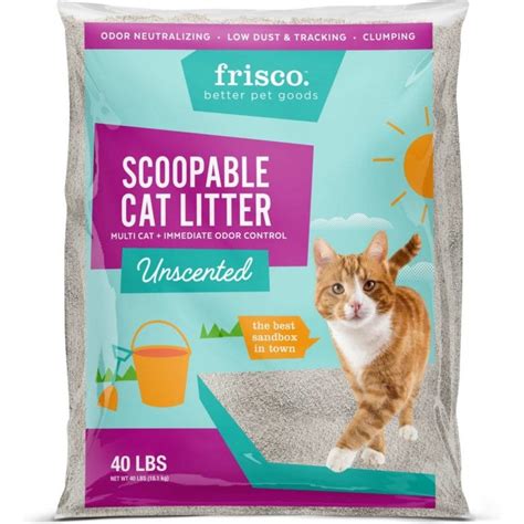 8 Best Budget Cat Litter Box in 2024 – Reviews & Top Picks! .